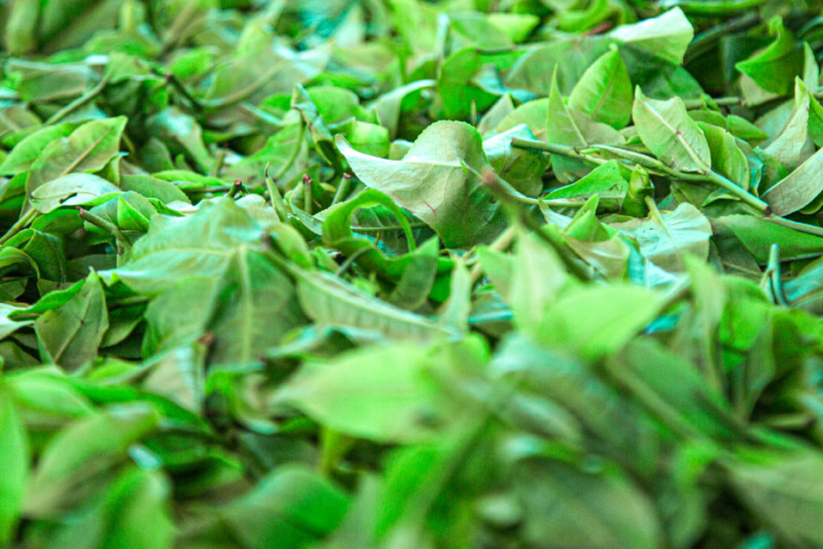 大量訂購/企業團購餐盒下午茶優惠專案